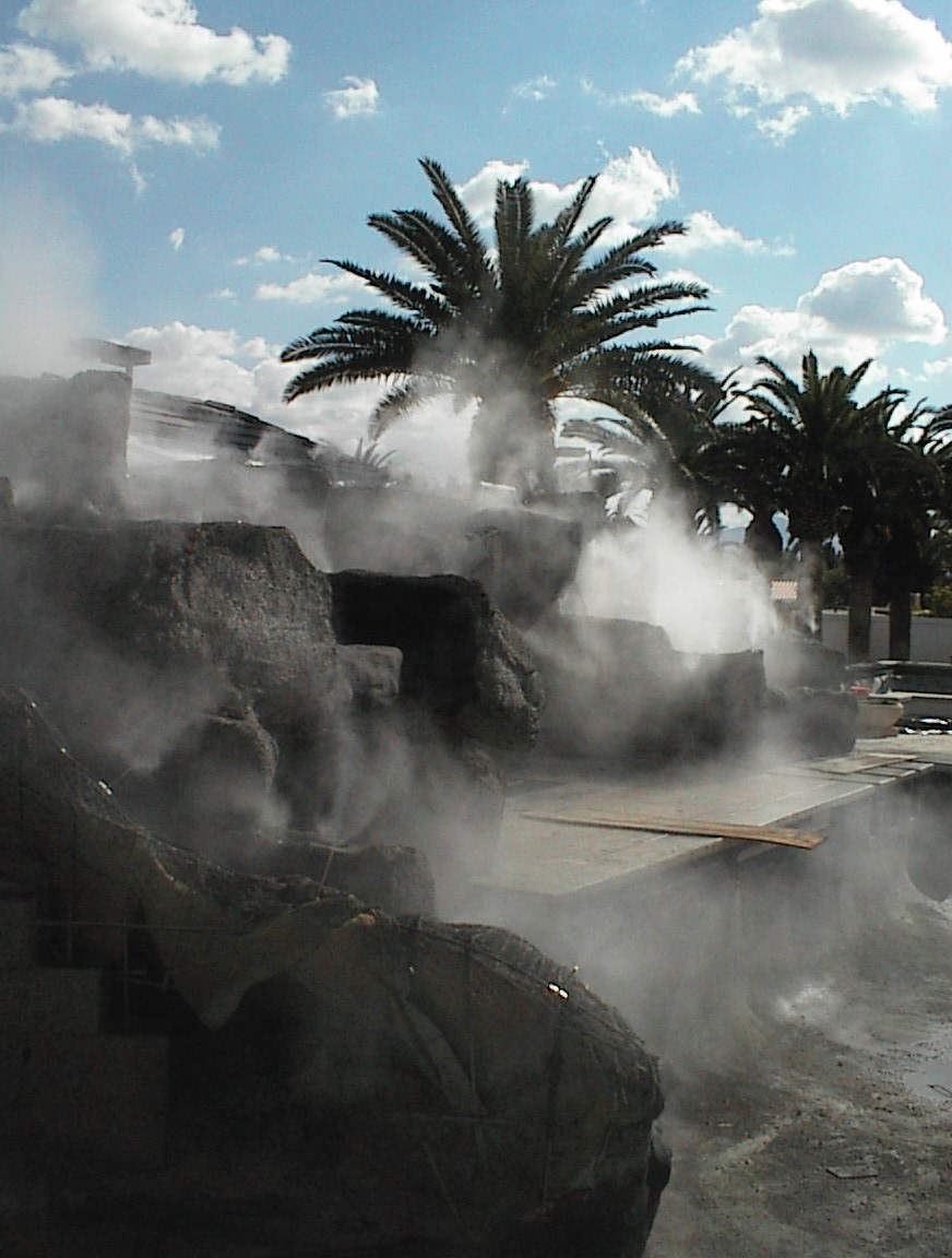 Mike Tyson Residence effects