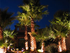 The Lighting Group Landscape Lighting fixtures